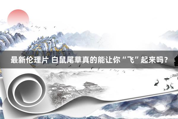 最新伦理片 白鼠尾草真的能让你“飞”起来吗？