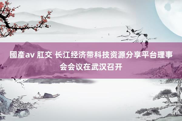 國產av 肛交 长江经济带科技资源分享平台理事会会议在武汉召开