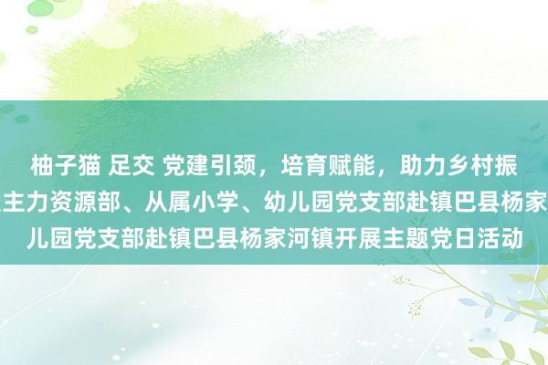 柚子猫 足交 党建引颈，培育赋能，助力乡村振兴：西北工业大学东谈主力资源部、从属小学、幼儿园党支部赴镇巴县杨家河镇开展主题党日活动
