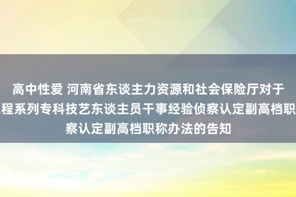 高中性爱 河南省东谈主力资源和社会保险厅对于印发河南省工程系列专科技艺东谈主员干事经验侦察认定副高档职称办法的告知