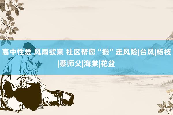 高中性爱 风雨欲来 社区帮您“搬”走风险|台风|杨枝|蔡师父|海棠|花盆