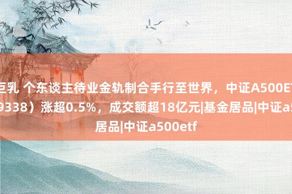 巨乳 个东谈主待业金轨制合手行至世界，中证A500ETF（159338）涨超0.5%，成交额超18亿元|基金居品|中证a500etf