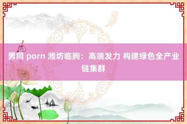 男同 porn 潍坊临朐：高端发力 构建绿色全产业链集群