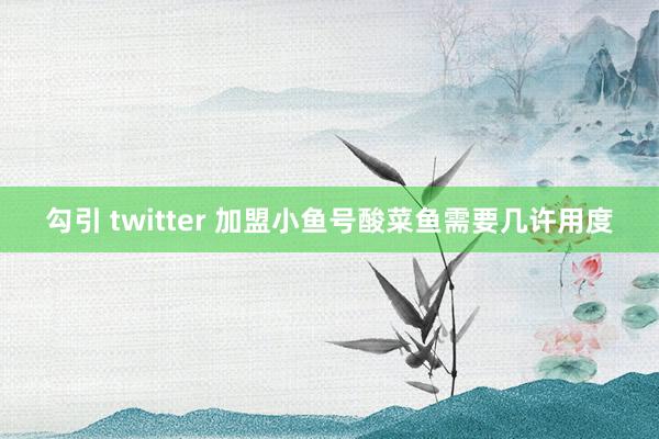 勾引 twitter 加盟小鱼号酸菜鱼需要几许用度
