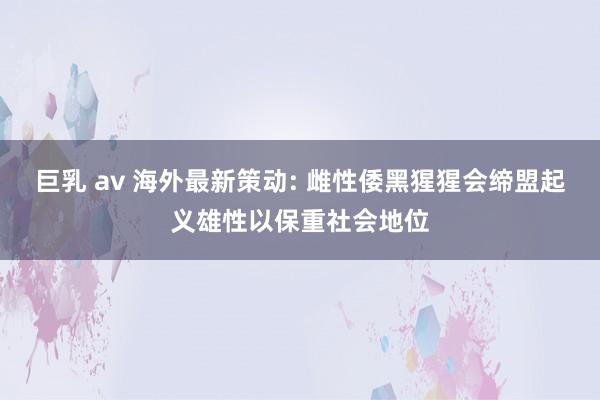 巨乳 av 海外最新策动: 雌性倭黑猩猩会缔盟起义雄性以保重社会地位